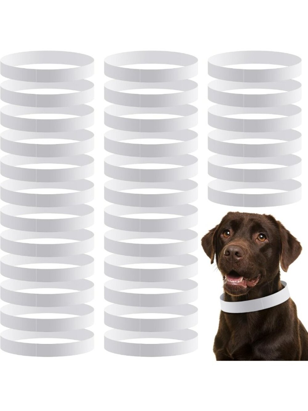 500 Count Adjustable 20" Waterproof Paper Dog Collars & ID Bands for Puppies